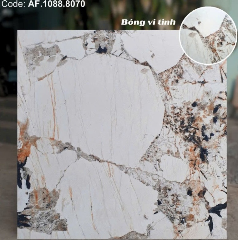 Apodio - AF.1088.8070