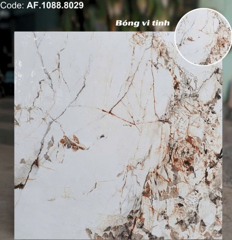 Apodio - AF.1088.8029