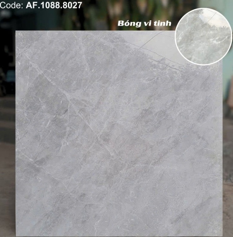 Apodio - AF.1088.8027