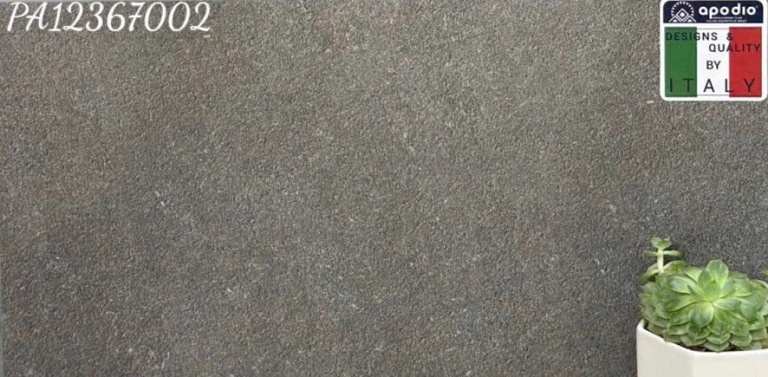 Apodio - PA12367002