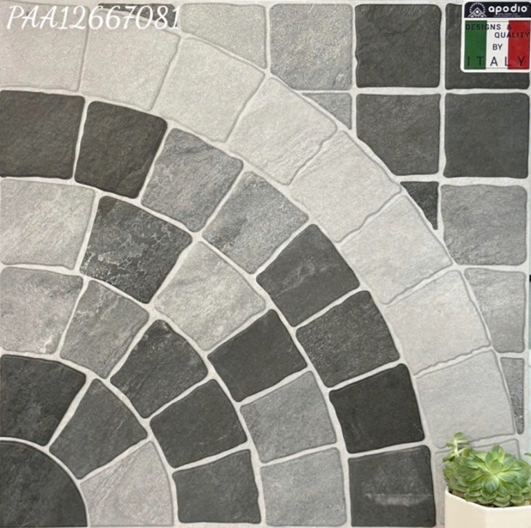 Apodio - PAA12667081