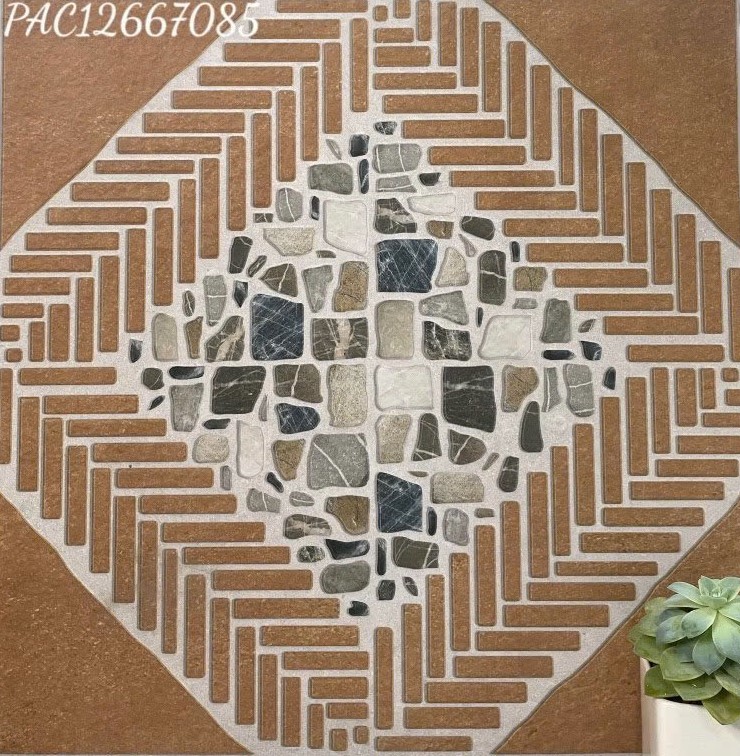 Apodio - PAC12667085