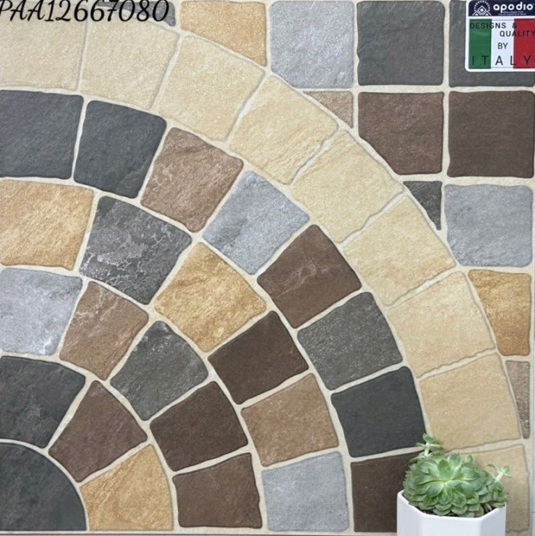 Apodio - PAA12667080