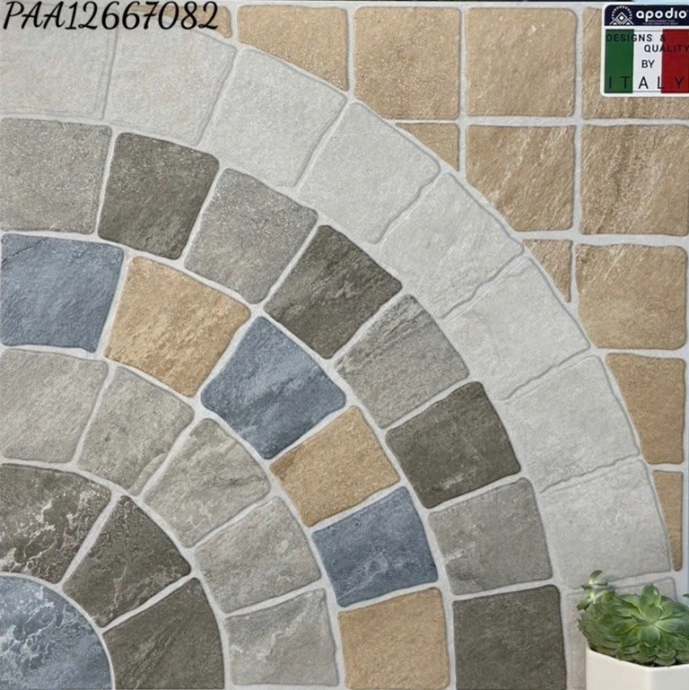 Apodio - PAA12667082