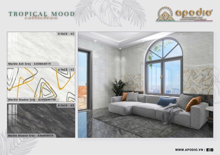 Apodio - A36MA8019 - A36MS9019D - A36MS9019