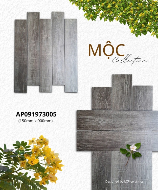 Apodio - AP091973005