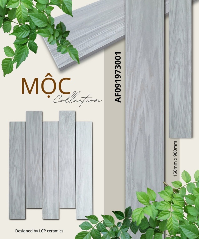 Apodio - AF091973001