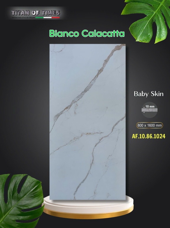 Apodio - AF.10.86.1024