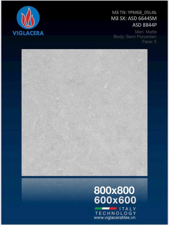 Viglacera - ASD 6644SM