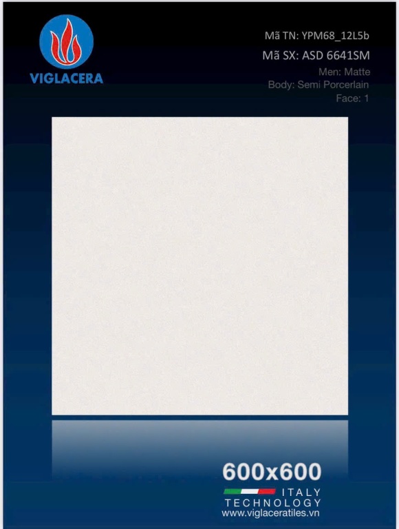 Viglacera - ASD 6641SM