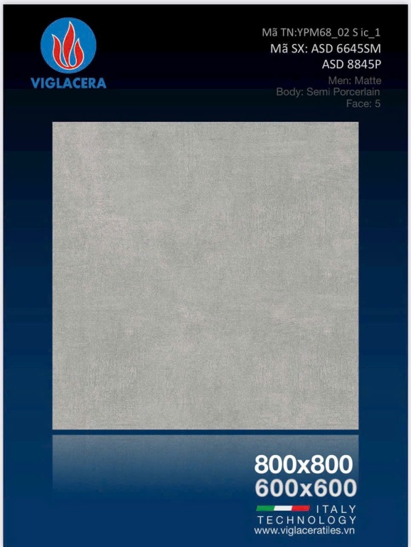 Viglacera - ASD 6645SM