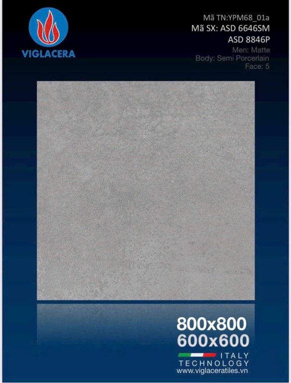Viglacera - ASD 6646SM