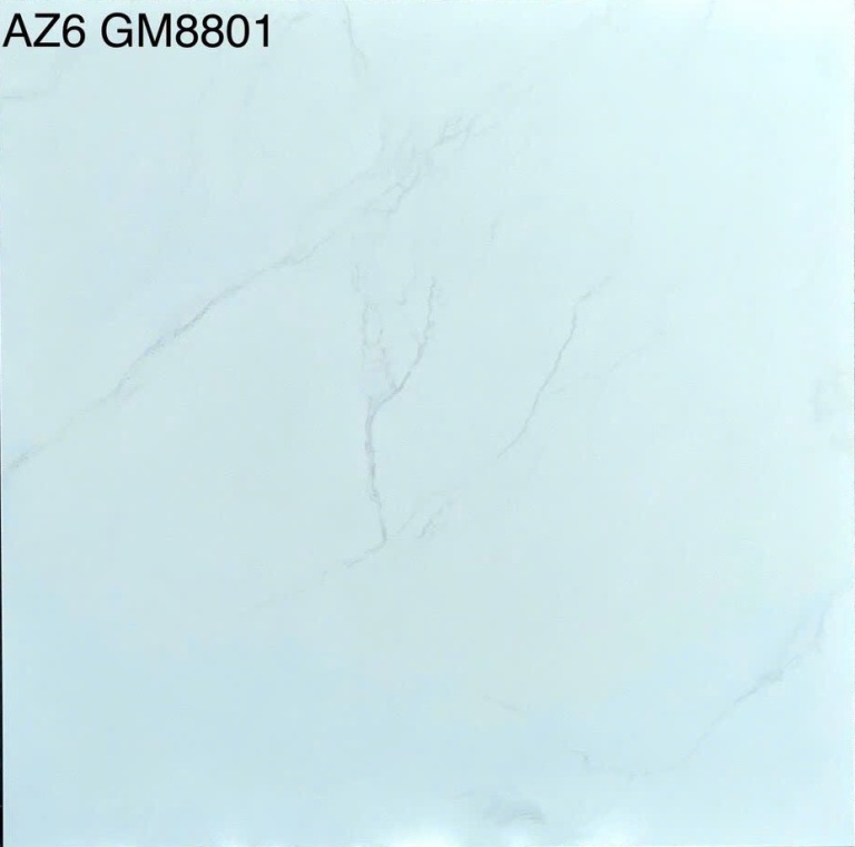 Viglacera - AZ6-GM8801