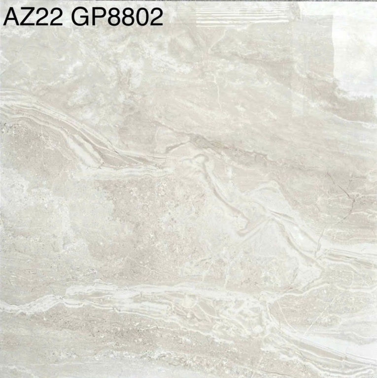 Viglacera - AZ22-GP8802