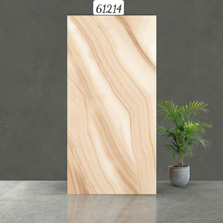 Gạch Ấn Độ - 61214