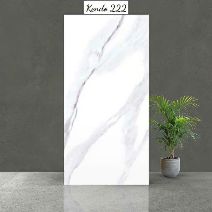 Gạch Ấn Độ - Kendo 222