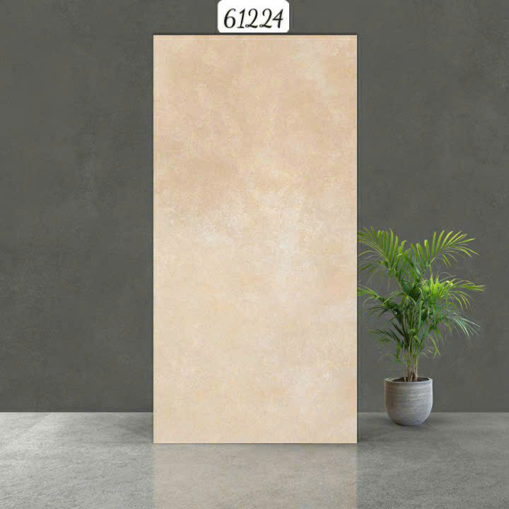 Gạch Ấn Độ - 61224