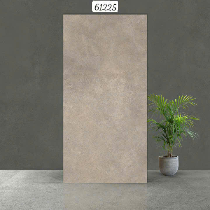 Gạch Ấn Độ - 61225