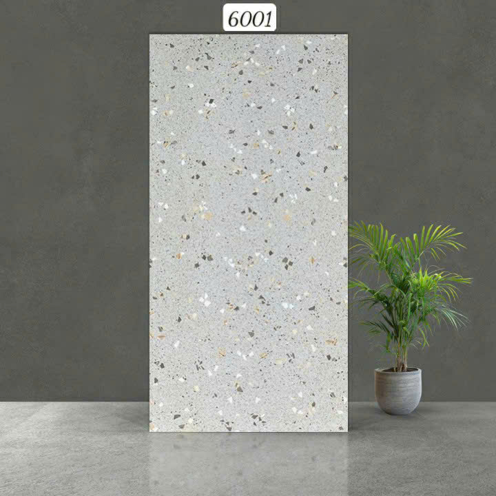 Gạch Ấn Độ - 6001