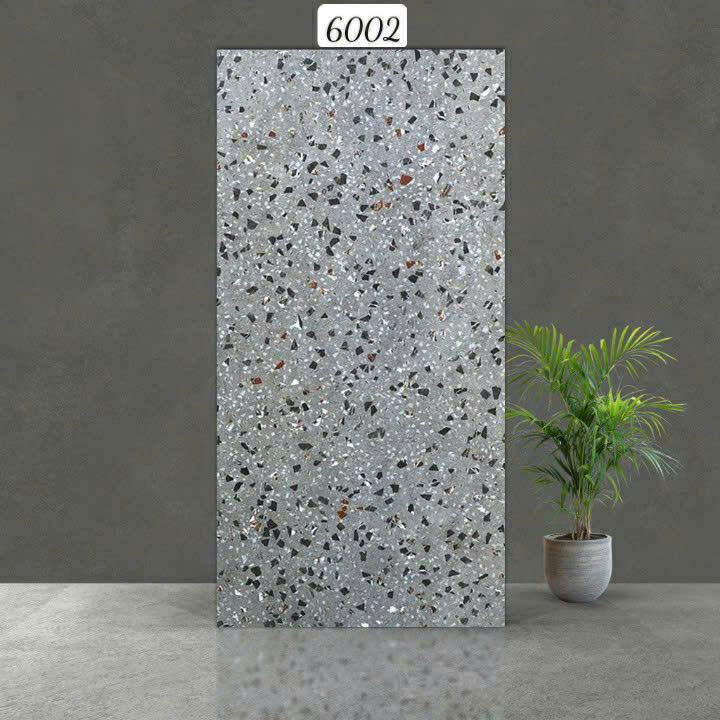 Gạch Ấn Độ - 6002