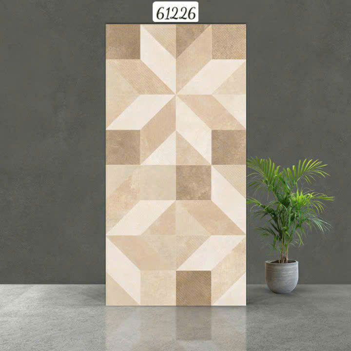 Gạch Ấn Độ - 61226