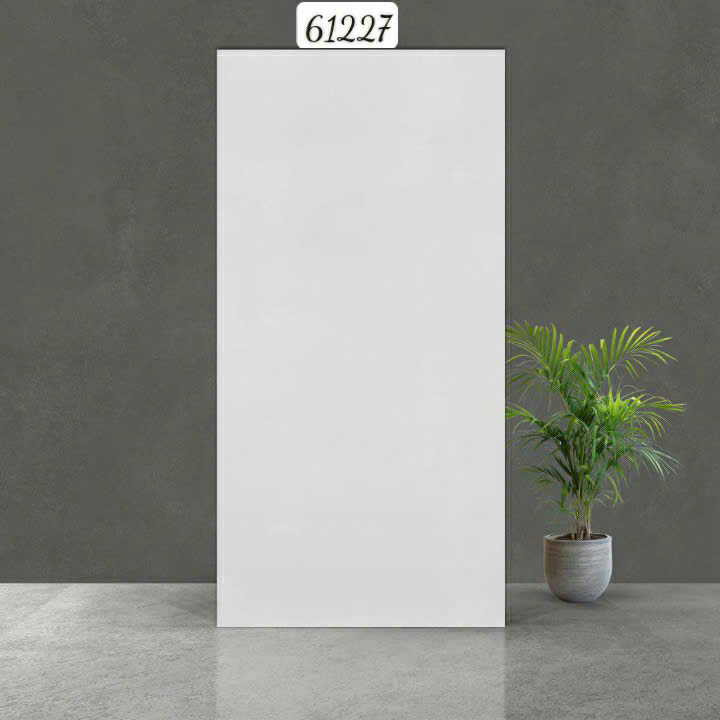 Gạch Ấn Độ - 61227