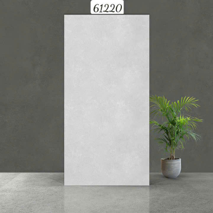 Gạch Ấn Độ - 61220