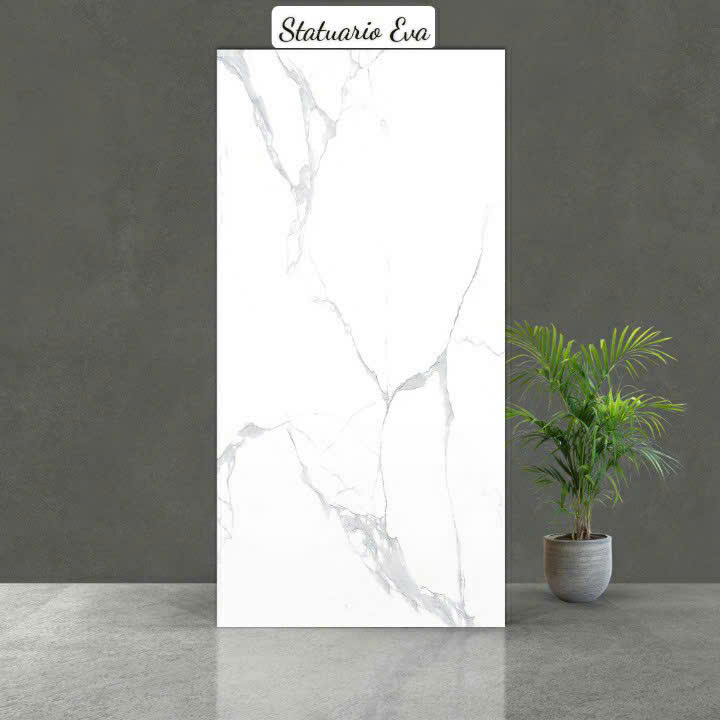 Gạch Ấn Độ - Satuario Eva