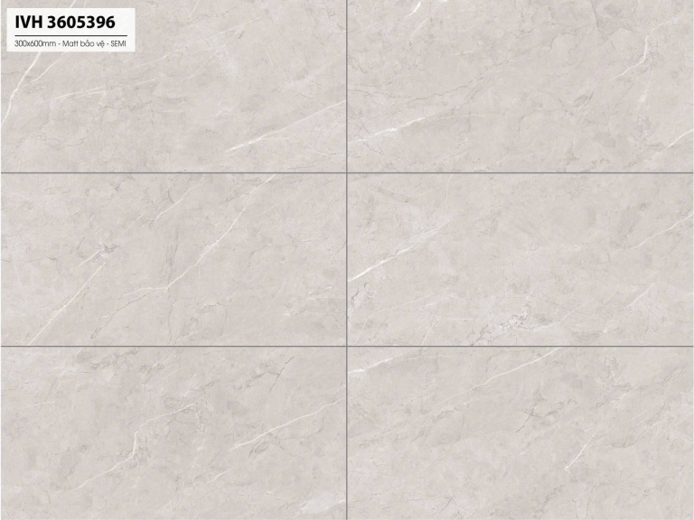 Á Mỹ - IVH3605396