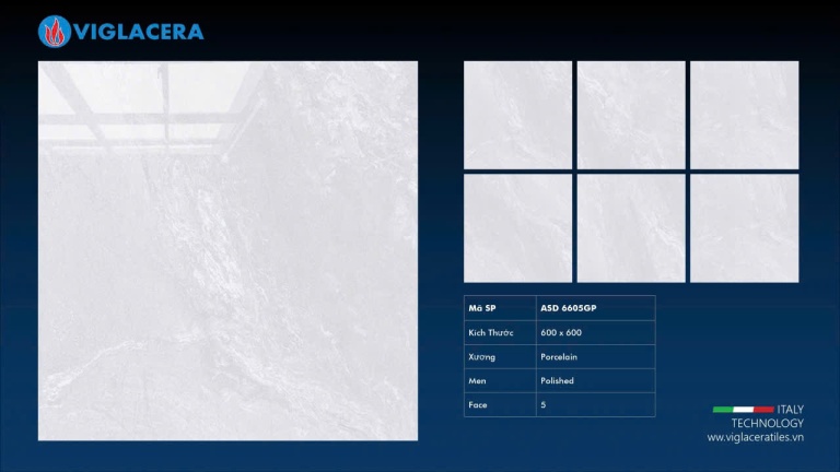 Viglacera - ASD 6605GP