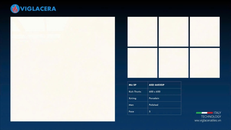 Viglacera - ASD 6603GP