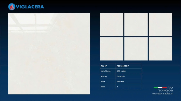 Viglacera - ASD 6604GP