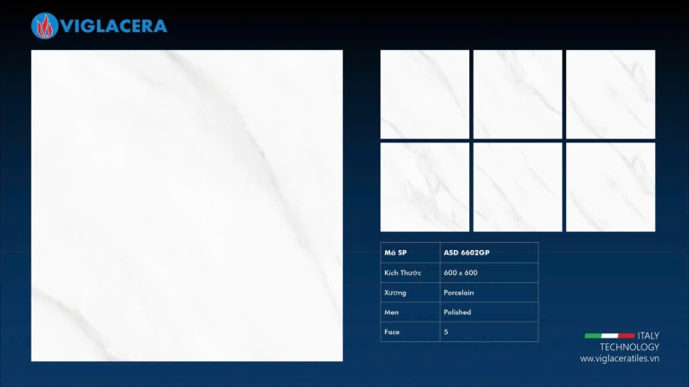 Viglacera - ASD 6602GP