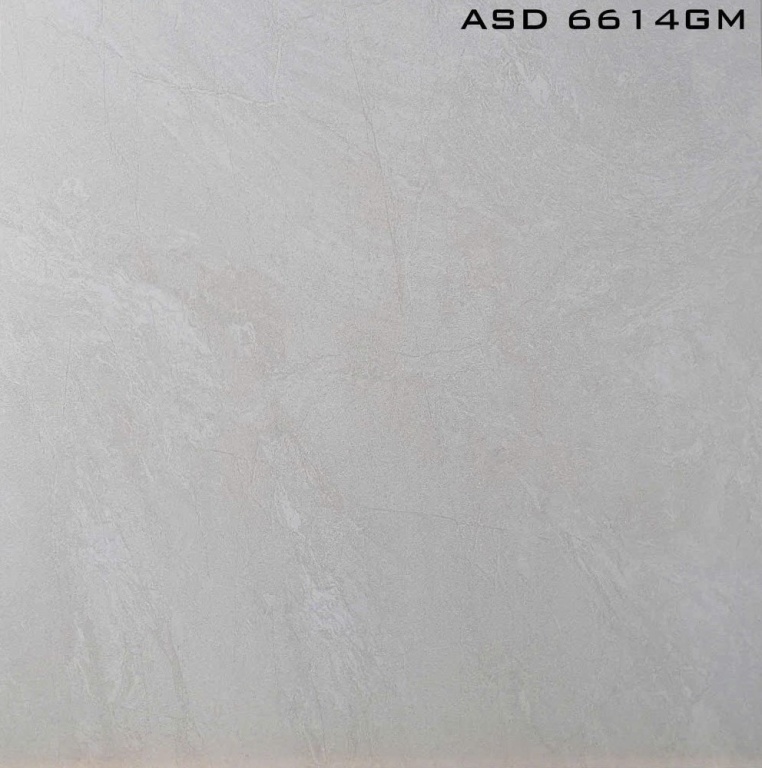 Viglacera - ASD 6614GM