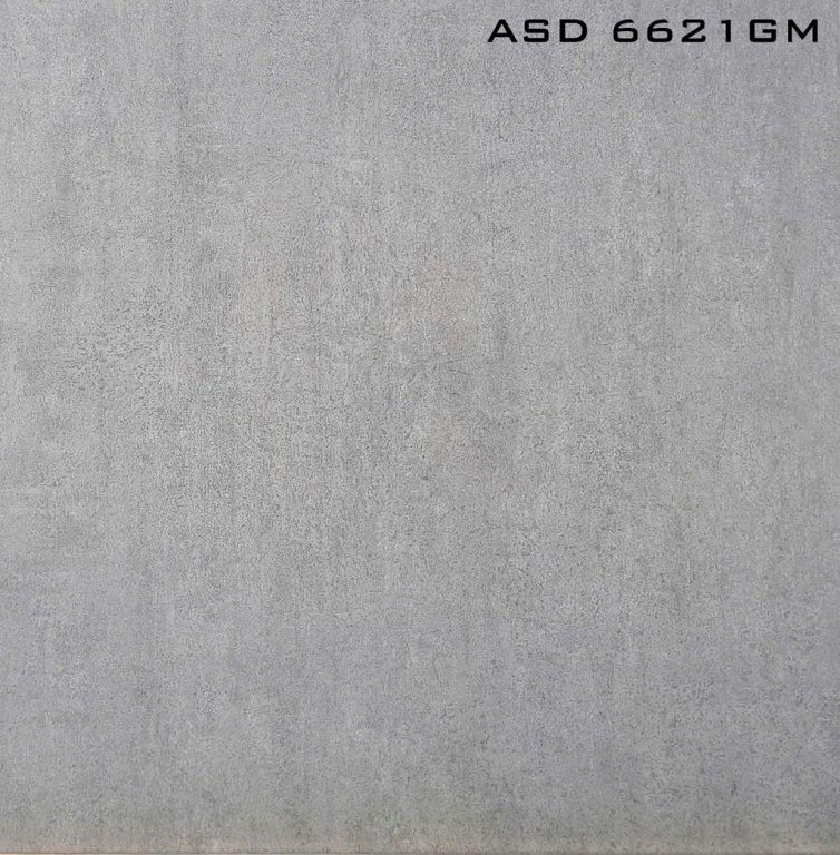 Viglacera - ASD 6621GM