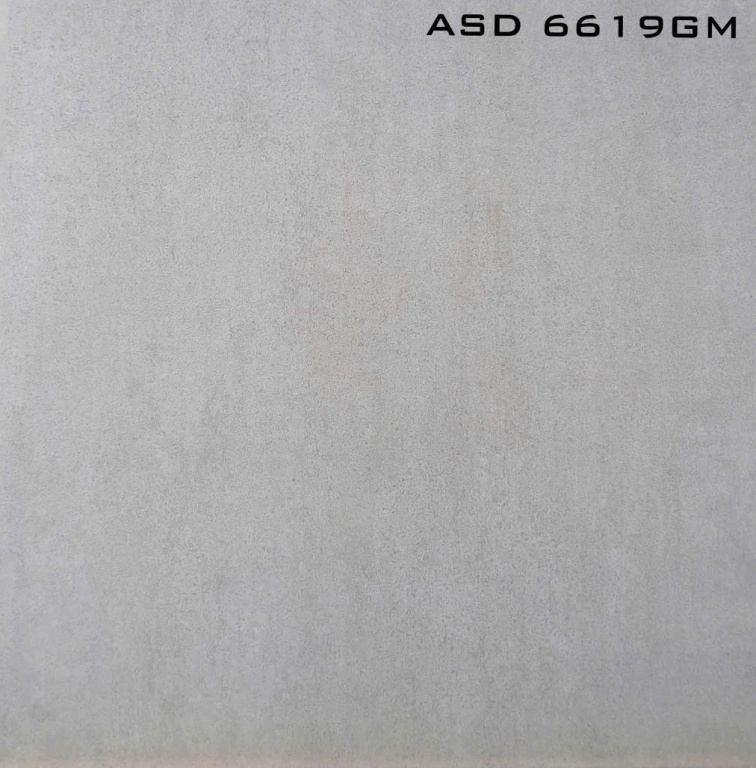 Viglacera - ASD 6619GM