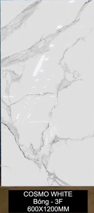 Gạch Ấn Độ - COSMO WHITE