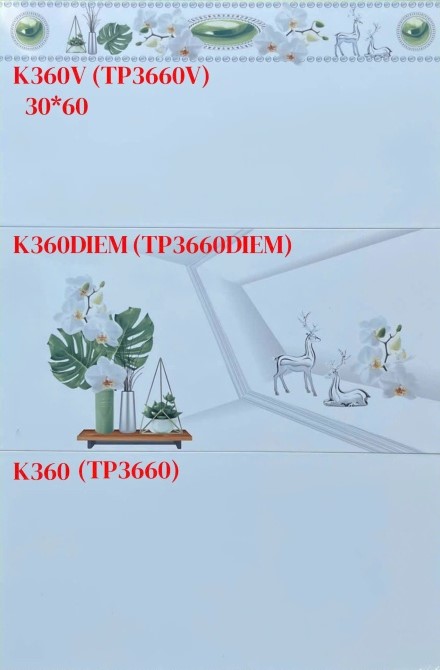 Long Hầu - K360V (TP3660V) - K360DIEM (TP3660DIEM) - K360 (TP3660)