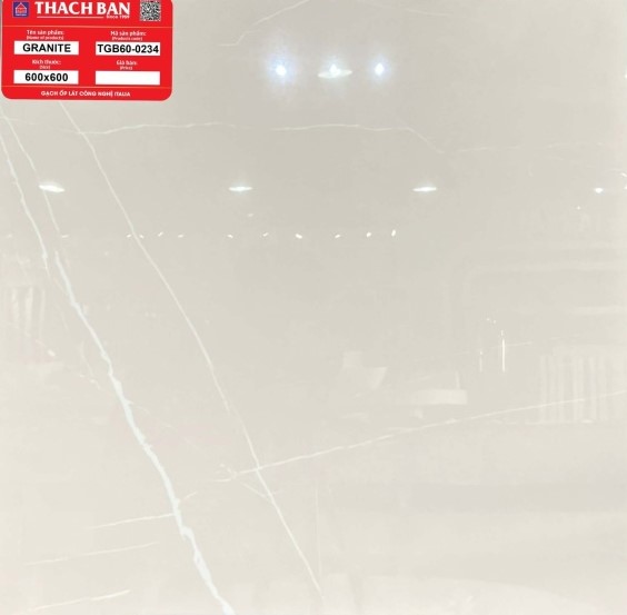Thạch Bàn - TGB60-0234