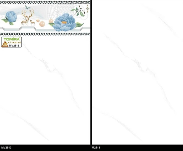 TTP - MV2513 - M2513