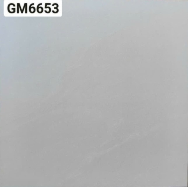 Viglacera - GM6653
