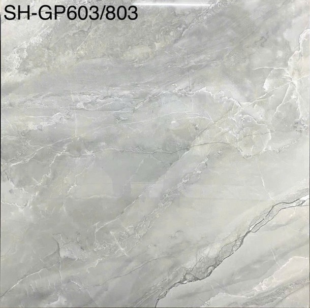 Viglacera - SH-GP603/803