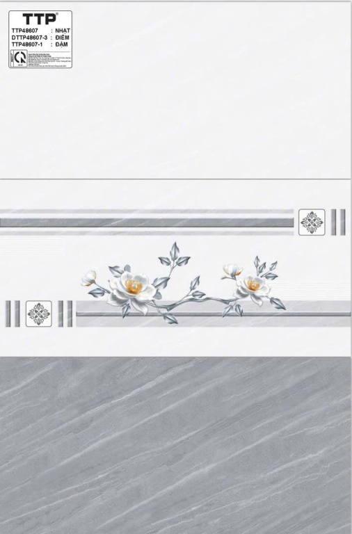 TTP - TTP48607 - DTTP48607-3 - TTP48607-1