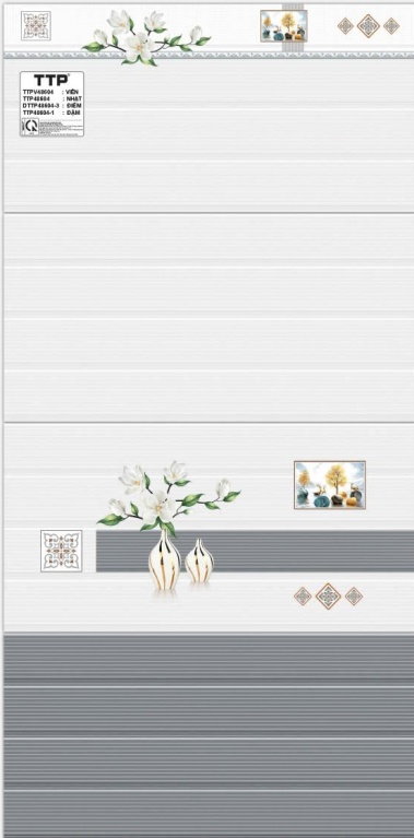 TTP - TTPV48604 - TTP48604 - DTTP48604-3 - TTP48604-1