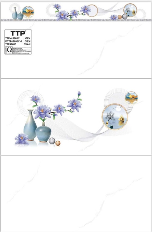 TTP - TTPV48603C - DTTPV48603C-3 - TTP48603