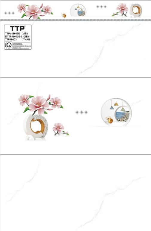 TTP - TTPV48603E - DTTP48603E-3 - TTP48603