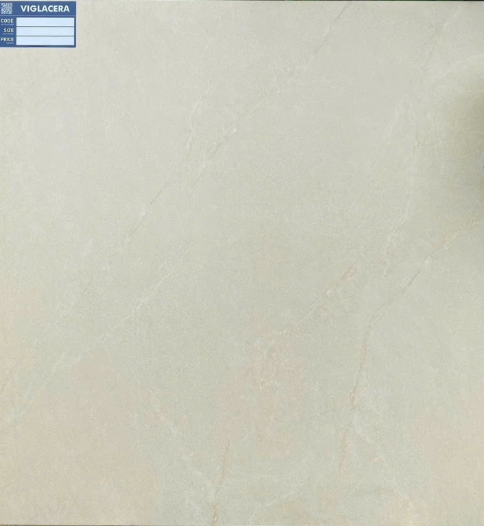 Viglacera - ASD6642SM