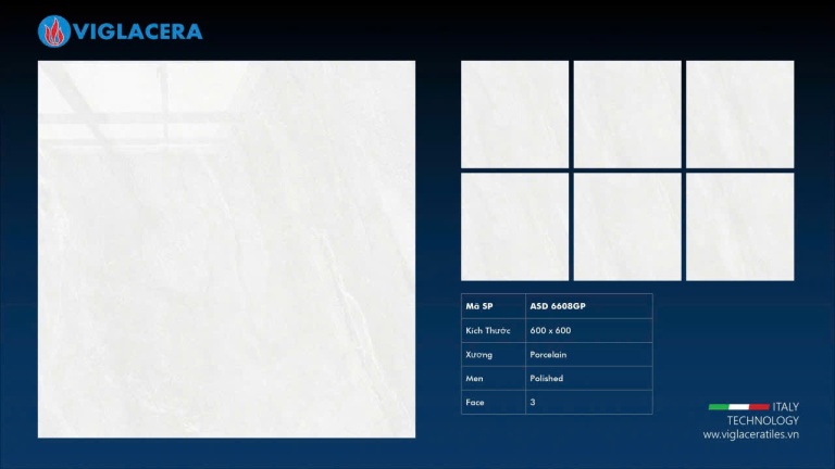 Viglacera - ASD6608GP