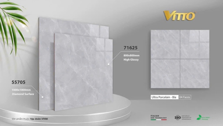 Vitto - 71625 - 55705