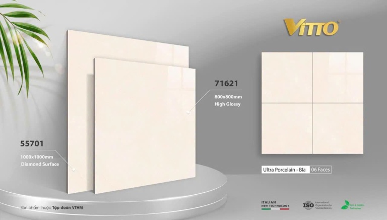 Vitto - 71621 - 55701